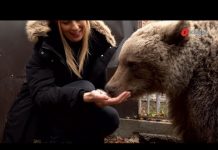 Tour de BiH u Doboju: Bliski susret s medvjedima, paraglajding, priče o Silvani Armenulić…