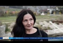 Dnevnik 1 – 04.11.2021.