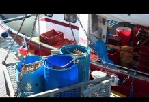 Odustaje li Francuska od trgovinskog rata s V. Britanijom?