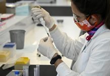 WHO: Ne zna se da li je omikron opasniji od ostalih sojeva