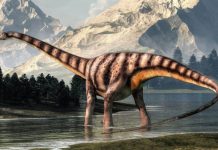 Ko nosi titulu najdužeg dinosaurusa koji je hodao Zemljom?