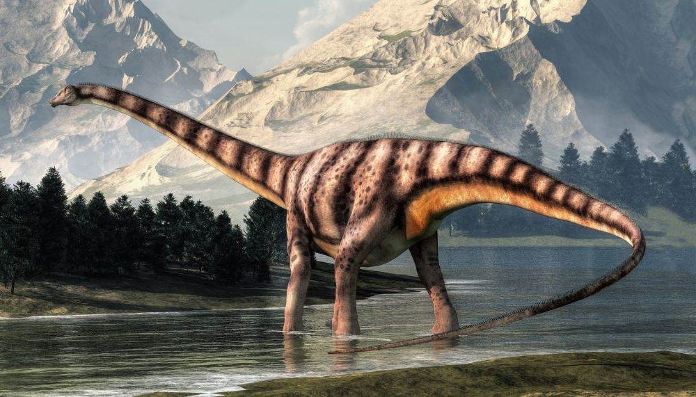 supersaurus_1482569171-1000x571-1