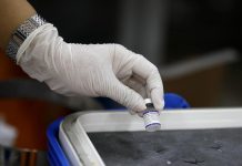 Vakcine protiv kovida i gripa uzajamno ne umanjuju efikasnost