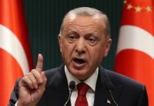 Erdogan: Prije ili kasnije smanjit ćemo inflaciju