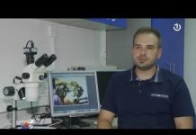 Nova avantura: Pčele – 05.12.2021.