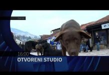 HAYAT TV: OTVORENI STUDIO (ZDRAVLJE NA PRVOM MJESTU, DOBAR DAN BIH) – najava emisija za 06 12 2021