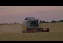 Cijena napretka – Petak 19:05