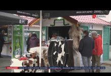 Praznični ambijent u Tuzli: Koncerti, mobilne kućice sa slatkišima, kuhanim vinom…