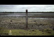 Suša u jednoj od najvažnijih močvara na svijetu