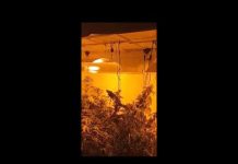 Policija u Sarajevu pronašla laboratoriju za drogu