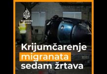 Sedam migranata pogunulo u Mađarskoj u vozilu sa srpskim tablicama