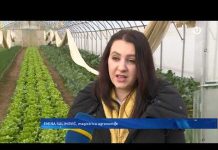 Koliko je naša zemlja pogodno tlo za bavljenje poljoprivrednom?