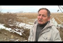 Makedonski poljoprivrednici protiv zamrzavanja cijene riže