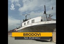 Priče Al Jazeera Digitala – Decembar 2021.