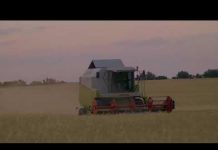 Cijena napretka – Petak 17:05