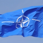 Nato-140x140-1