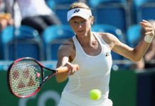 Češka teniserka iz karantina: Ovo se desilo i zbog Novaka