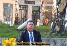 halid-dedic-993×735-1-800×592-1