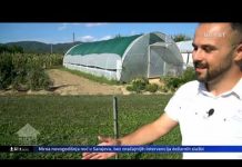 PROŠLE GODINE POSJETILI SMO PREKO 50 POVRATNIČKI MJESTA: I PORED POLITIČKIH TENZIJA ŽIVE U MIRU