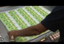 Al Jazeera Business: Jubilej eura