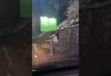 Razbijanje ploče posvećene ratnom zločincu Ratku Mladiću na Vracama