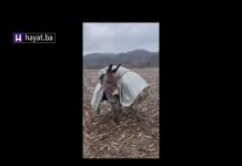 KAKAV JE ŽIVOT BH. NOMADA: ZIMSKA KUHINJA KOD BOSANSKE DUBICE