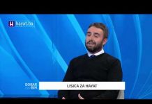 LISICA U DDBIH: I BOŠNJACI IMAJU VJERSKE I NACIONALNE PRAZNIKE, PA NE VRIJEĐAJU DRUGE!