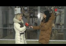 Zima u Pionirskoj dolini: Životinje uživaju u svojim nastambama