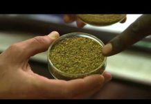 Rađanje zemlje – Prehrambeni ciklus budućnosti – Ponedjeljak 17:05