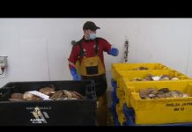 Nije sve crno britanskim ribarima nakon Brexita