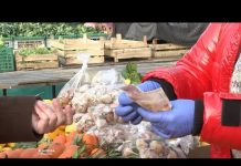 Dvije strane hrvatskog prelaska na euro 2023.