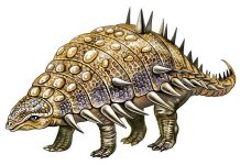 Bio je spor i pomalo nagluh: Čuveni dinosaurus sa bodljama je izgleda živeio usamljeničkim životom