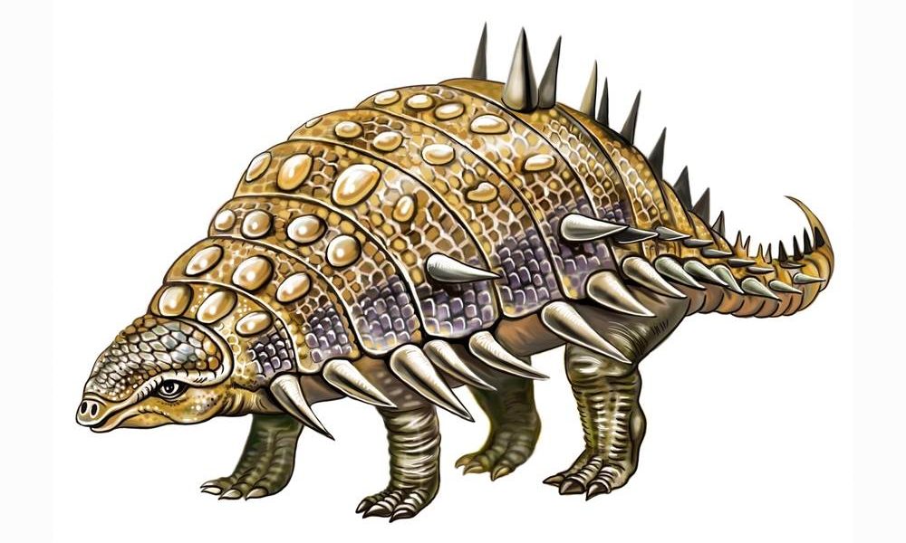 nodosaurus_2097807022-1000x600-1