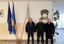 pekic-sisic-vraca-1-1600×1200-1-800×600-1