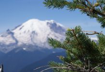 Lakše se diše! U sarajevskoj kotlini došlo do poboljšanja kvaliteta zraka