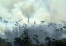 U Amazonu uništena površina sedam puta veća od Manhattana