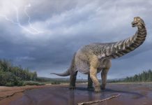 Otkriven prvi dinosaurus koji je patio od respiratorne infekcije – sa svim propratnim simptomima (kašalj, groznica…)