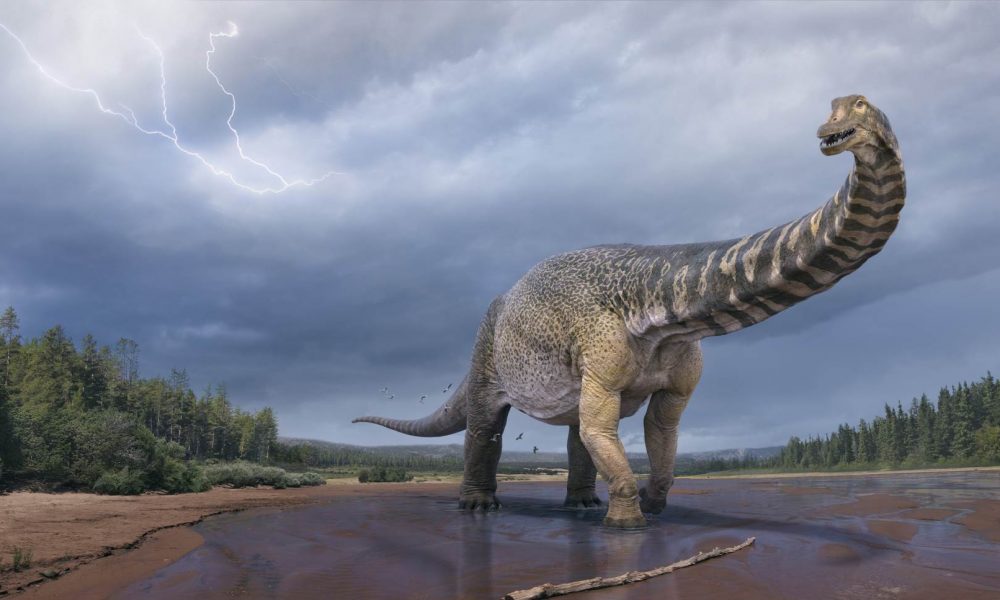 Sauropod-0614775176-1000x600-1