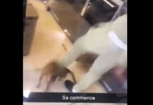 UZNEMIRUJUĆE! Šta je s mozgom? Šok snimak koji je zgrozio planetu, fudbaler se iživljava nad mačkom! (VIDEO)