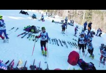 Srebrna lisica na Bjelašnici