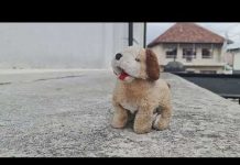 Fullscreen – Do slobode – Subota 19:05, repriza 23:05