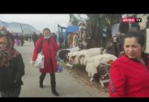 Autopijaca na Stupu ponovo u punom pogonu, bunda za 50 KM “original”