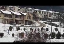 Čopori pasa na ulicama Goražda, građani zabrinuti