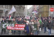 Desničari sve više dio protesta protiv vakcina