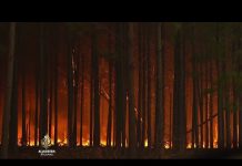 Veliki požari u Argentini ugrožavaju egzistenciju