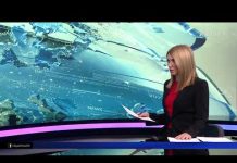 ZAPAD NIJE SPREMAN UĆI U KONFLIKT SA RUSIJOM! RAMIĆ I HADROVIĆ ZA HAYAT: NE SMIJEMO ČEKATI STRANCE!