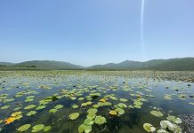 Očuvanje i obnova vlažnih staništa pitanje je očuvanja života na planeti