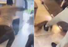 Cijeli svijet se zgrožava zvijezdi Premier lige koja je šutirala mačku pred djetetom