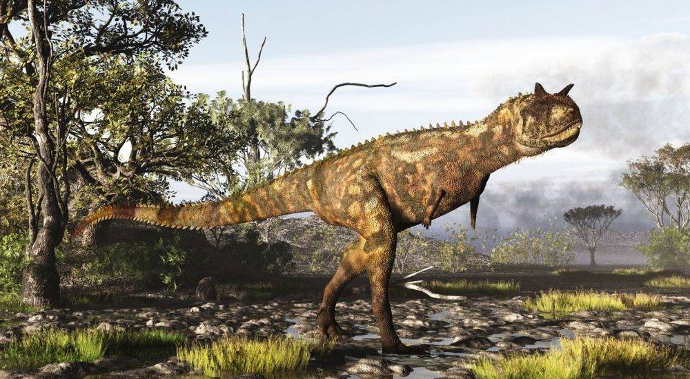 Guemesia-ochoai-1000x549-1