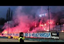 Veliko slavlje Željinih navijača nakon gola za vodstvo u derbiju